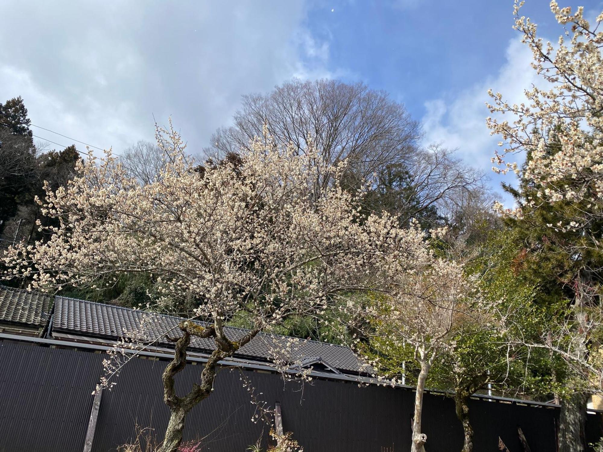 Takeyashiki たけやしき Guest House Shiroishi  Bagian luar foto